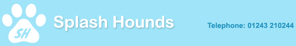 Splash Hounds Banner Telephone 01243 210244